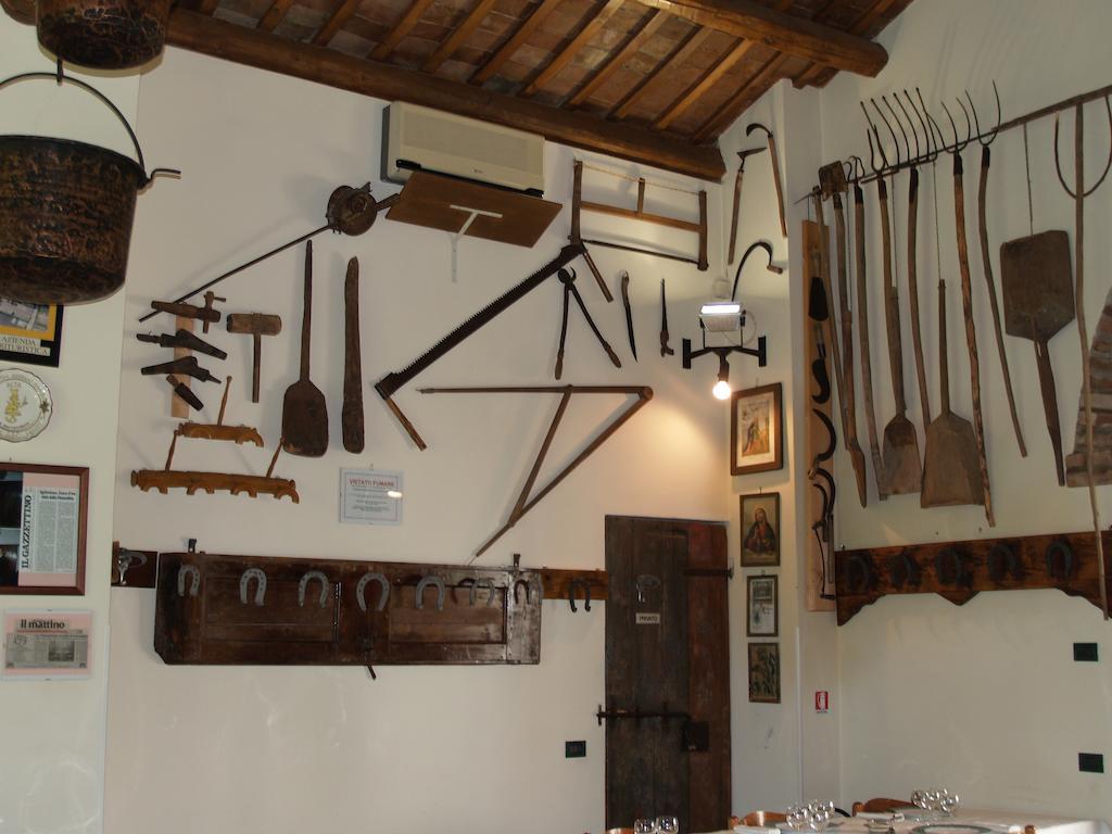 Agriturismo Le Clementine Badia Polesine エクステリア 写真