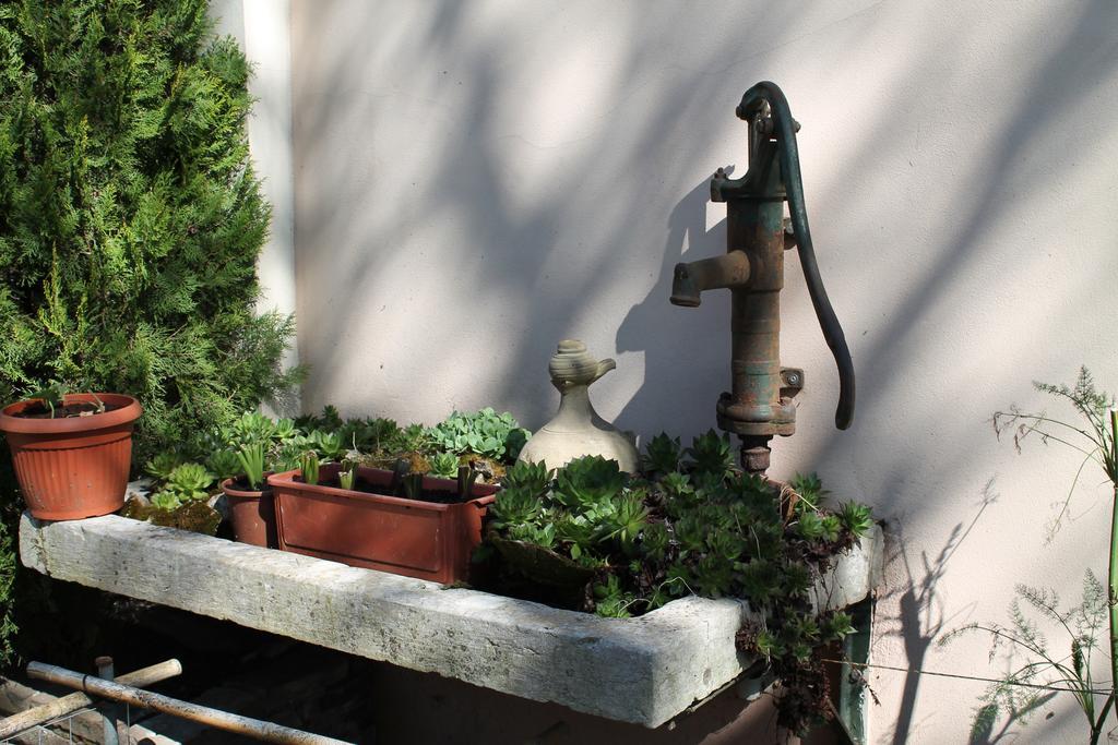 Agriturismo Le Clementine Badia Polesine エクステリア 写真