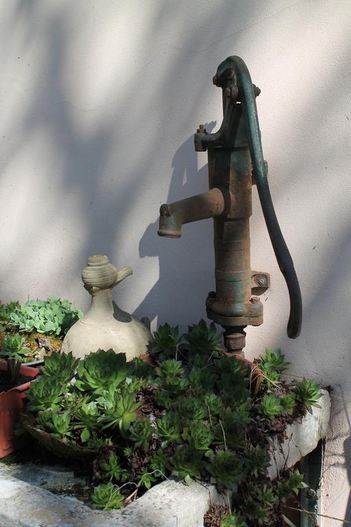 Agriturismo Le Clementine Badia Polesine エクステリア 写真