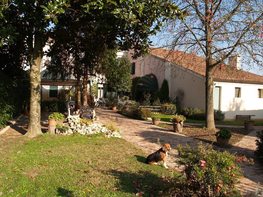 Agriturismo Le Clementine Badia Polesine エクステリア 写真