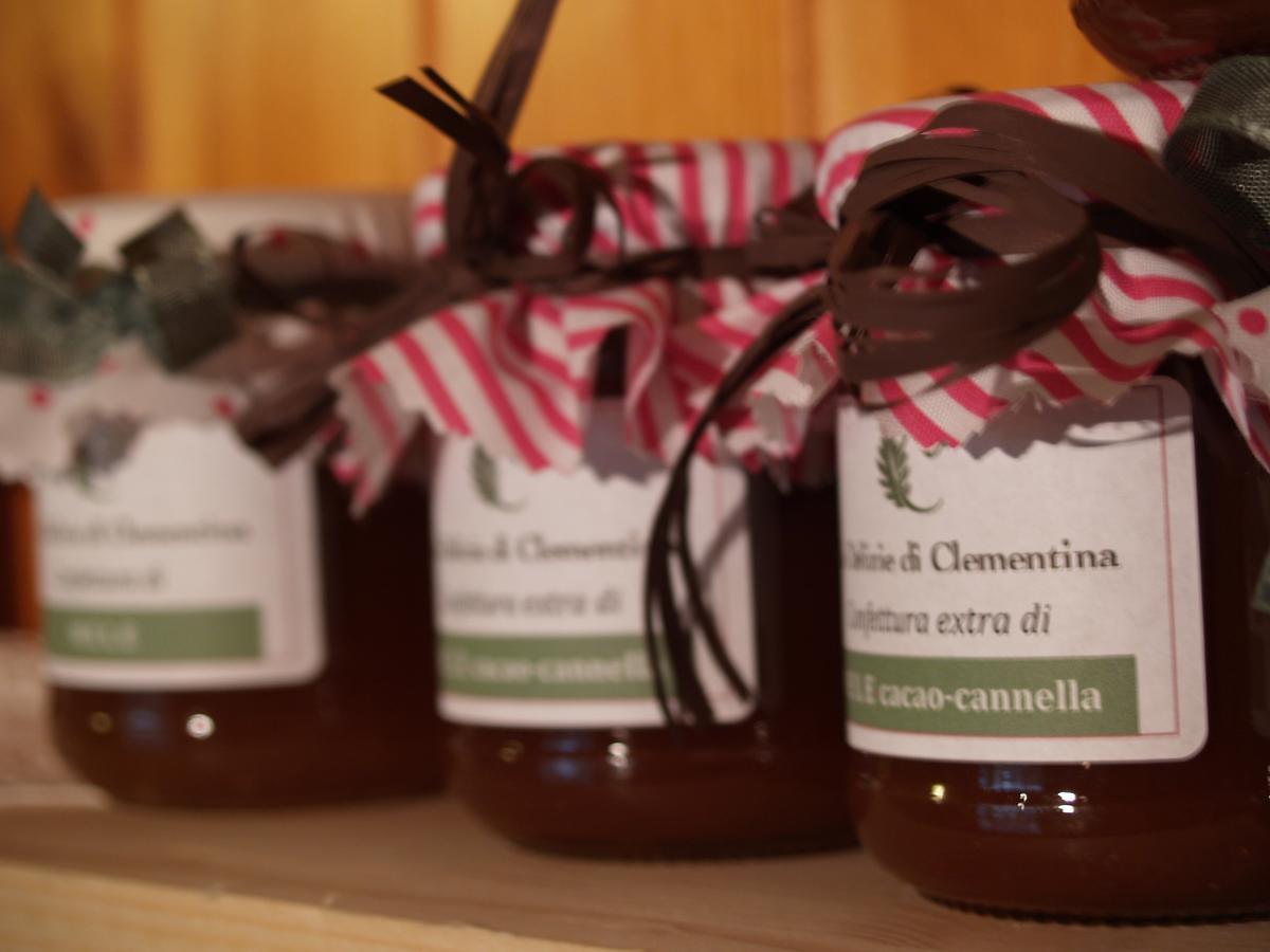 Agriturismo Le Clementine Badia Polesine エクステリア 写真
