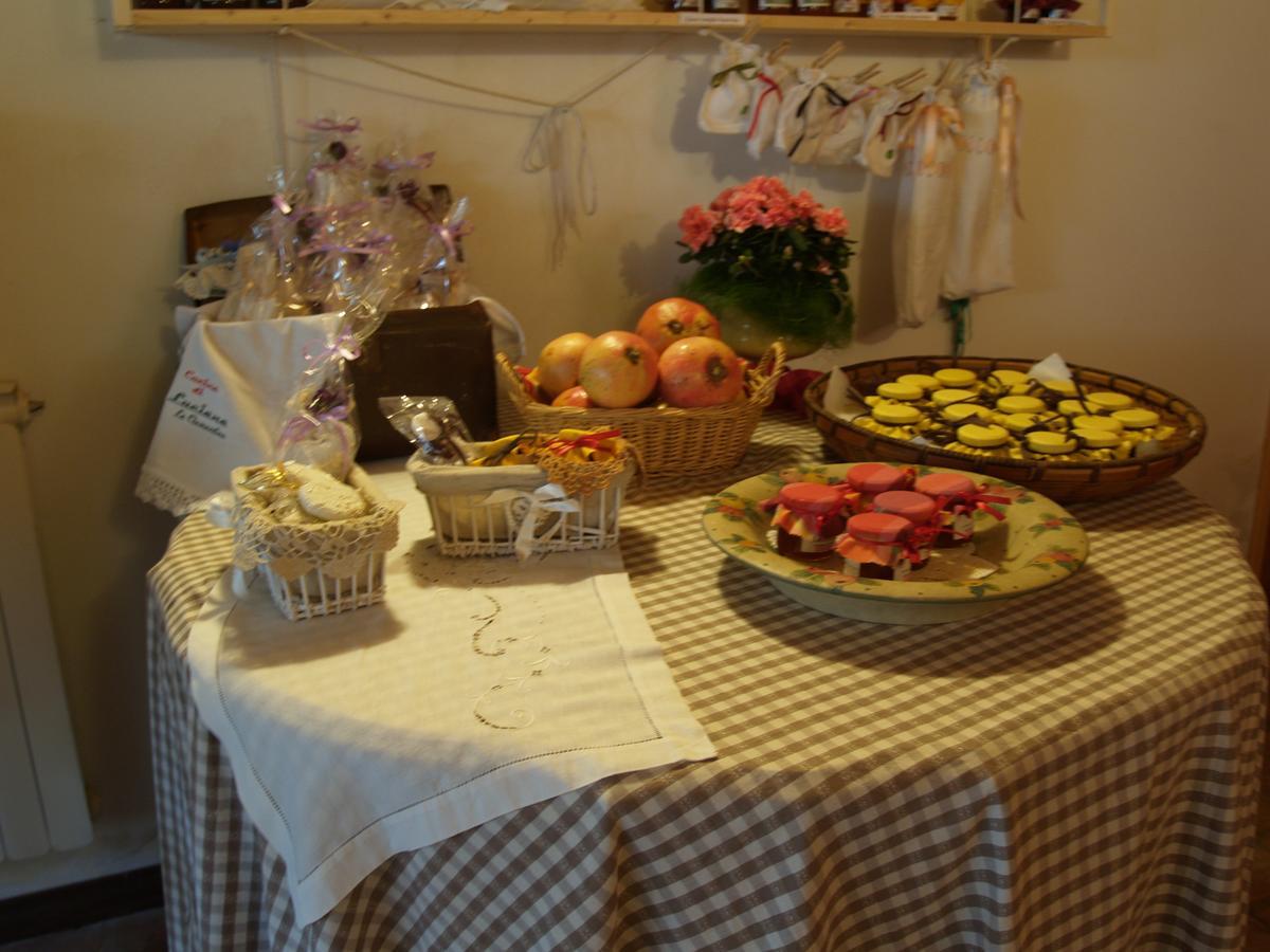 Agriturismo Le Clementine Badia Polesine エクステリア 写真